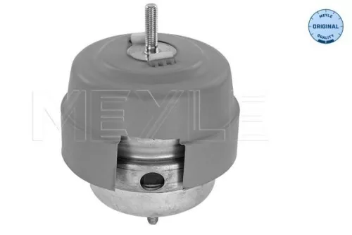 Montage, motor MEYLE 100 199 0189)
