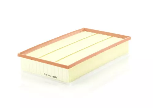 Luchtfilter MANN-FILTER C 38 003)