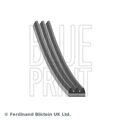 V-vormige riem BLUE PRINT AD03R682)