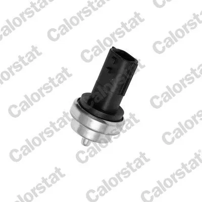 Sensor, koelvloeistoftemperatuur CALORSTAT by Vernet WS3019)
