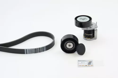 V-ribbed Belt Set CONTINENTAL CTAM 6PK1613K1)
