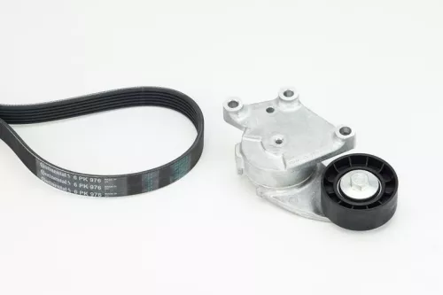 V-geribbelde riemset CONTINENTAL CTAM 6PK976K1)