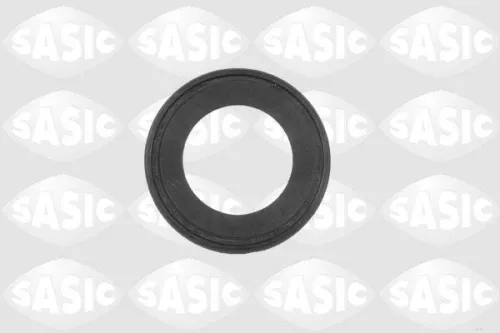 Asafdichting, differentieel SASIC 1950002)