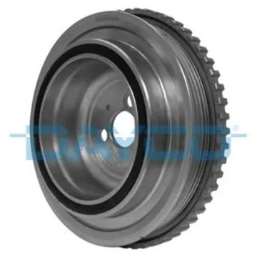 Riempoelie, krukas DAYCO DPV1028)