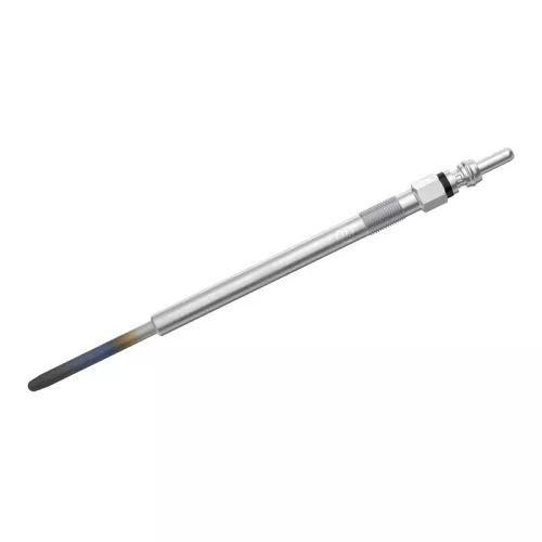 Gloeibougie BOSCH F 002 G50 048)