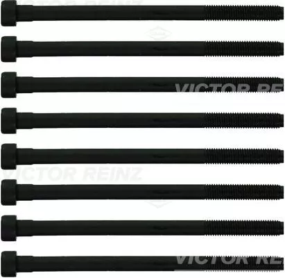 Cilinderkopboutenset VICTOR REINZ 14-10276-02)