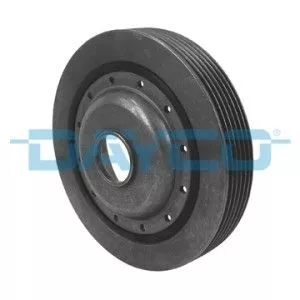 Riempoelie, krukas DAYCO DPV1061)