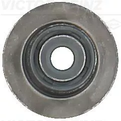 Afdichtring, ventielsteel VICTOR REINZ 70-54206-00)