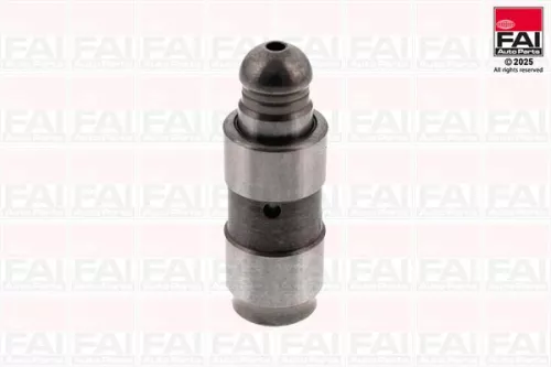 Tappet FAI AutoParts BFS148S)