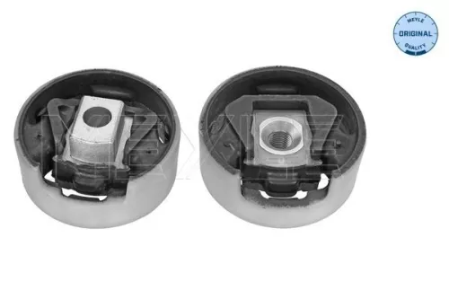 Montage, motor MEYLE 100 199 1021)