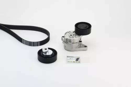V-ribbed Belt Set CONTINENTAL CTAM 6PK1538K1)