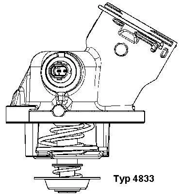 Thermostaat, koelvloeistof BorgWarner (Wahler) 4833.100D)