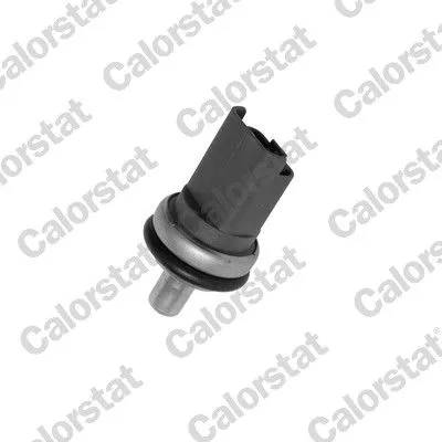 Sensor, koelvloeistoftemperatuur CALORSTAT by Vernet WS2610)