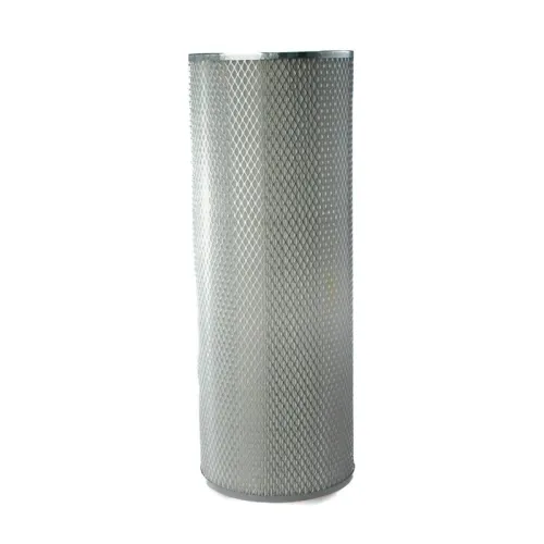 Secondary Air Filter HANS P116446)