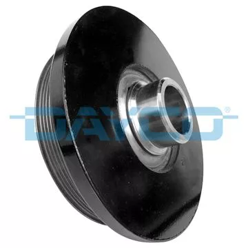 Riempoelie, krukas DAYCO DPV1181)