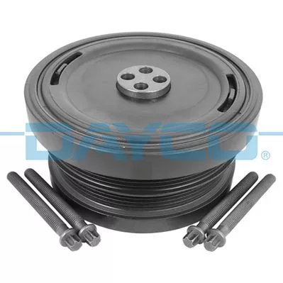 Riempoelieset, krukas DAYCO DPV1064K)
