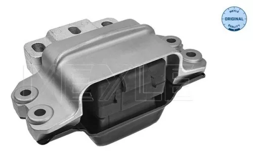 Montage, motor MEYLE 100 199 1054)