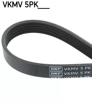 V-vormige riem SKF VKMV 5PK1121)