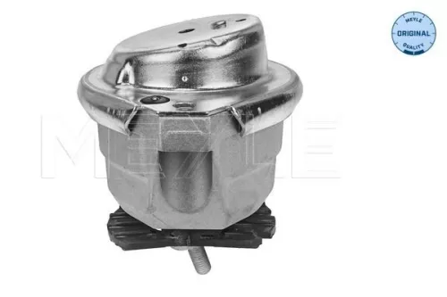 Montage, motor MEYLE 300 221 1153)