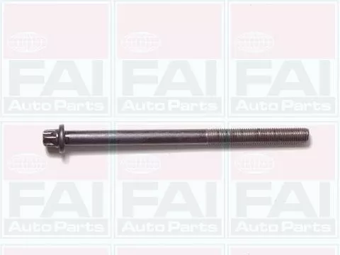 Cilinderkopboutenset FAI AutoParts B1050)