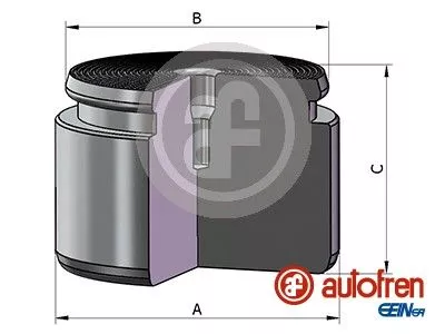 Zuiger, remklauw AUTOFREN SEINSA D025625)