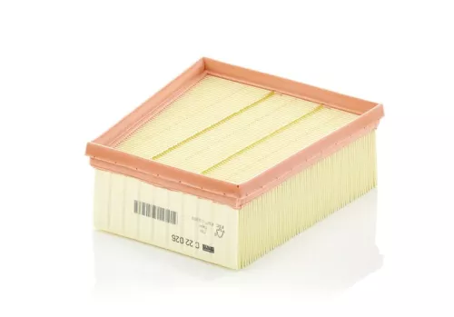 Luchtfilter MANN-FILTER C 22 026)