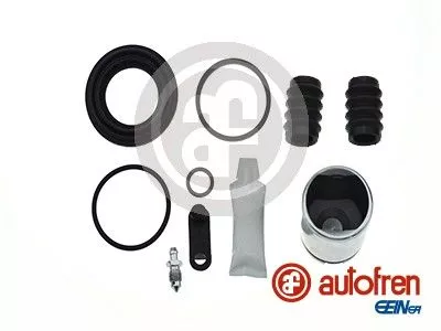 Reparatieset, remklauw AUTOFREN SEINSA D42375C)