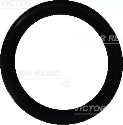 Afdichtring VICTOR REINZ 40-76473-00)