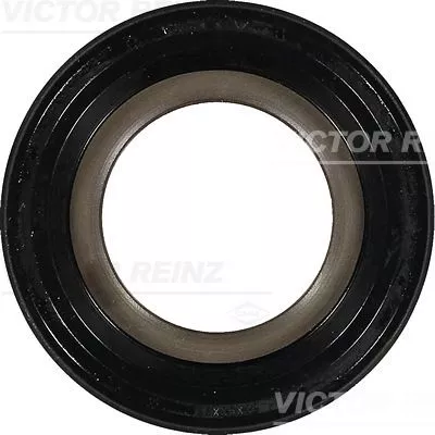Asafdichting, krukas VICTOR REINZ 81-10369-00)