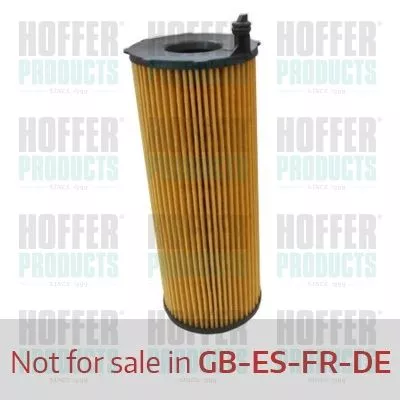 Oliefilter HANS WG1746658)