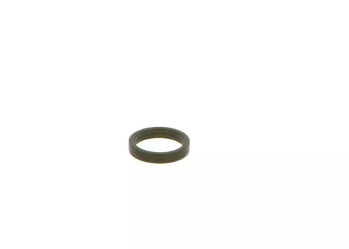 Afdichtring BOSCH F 00V C38 100)