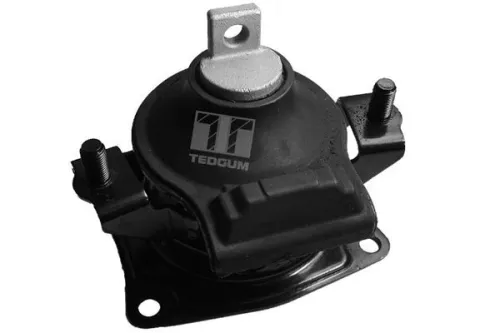 Montage, motor TEDGUM 00263076)