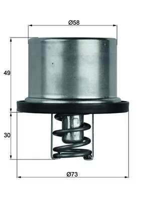 Thermostaat, koelvloeistof MAHLE TX 37 79)
