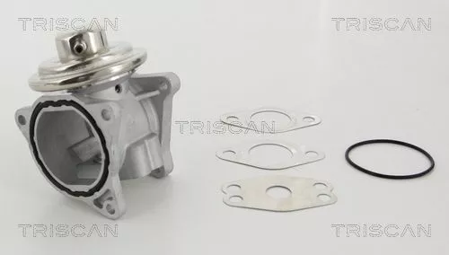 EGR-klep TRISCAN 8813 29111)