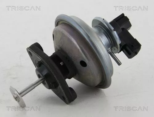 EGR-klep TRISCAN 8813 11002)