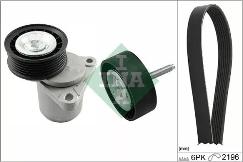 V-geribbelde riemset Schaeffler INA 529 0219 10)