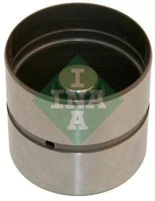 Stoter Schaeffler INA 420 0220 10)