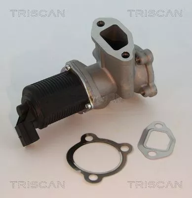 EGR-klep TRISCAN 8813 10003)