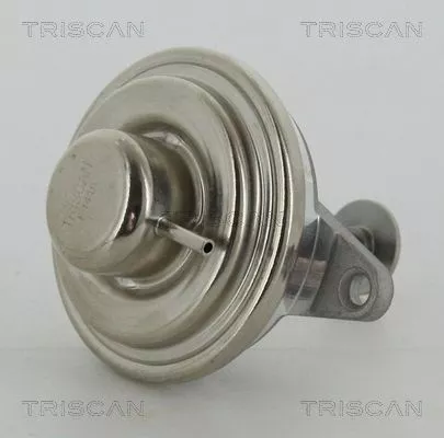 EGR-klep TRISCAN 8813 24054)