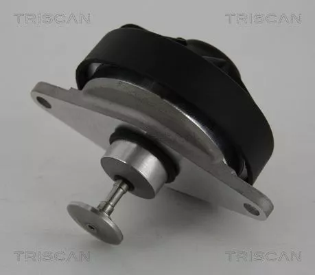EGR-klep TRISCAN 8813 24202)