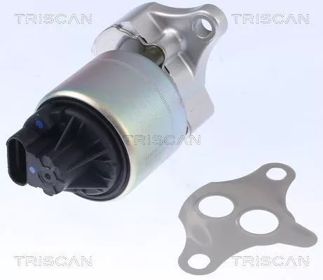 EGR-klep TRISCAN 8813 21001)