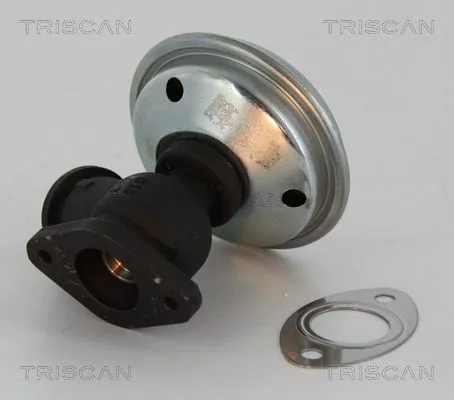 EGR-klep TRISCAN 8813 28012)
