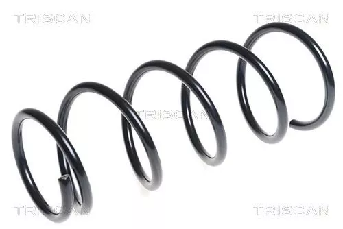 Veerophanging TRISCAN 8750 1498)