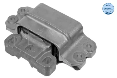 Montage, motor MEYLE 100 199 1099)