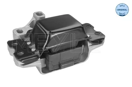 Montage, motor MEYLE 100 199 0172)
