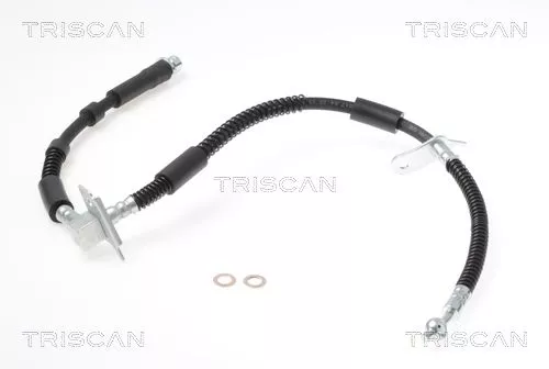 Remslang TRISCAN 8150 17305)