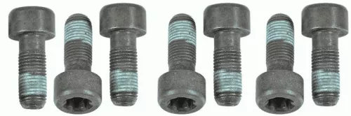 Schroevenset, vliegwiel SACHS 1874 000 054)