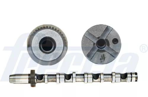 Nokkenas FRECCIA CM05-2190)