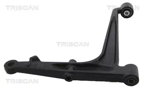 Draagarm/achterwielophanging TRISCAN 8500 295060)