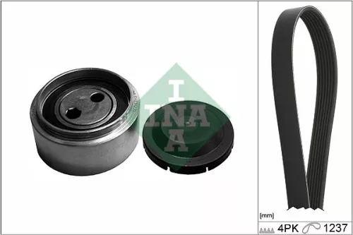 V-geribbelde riemset Schaeffler INA 529 0087 10)